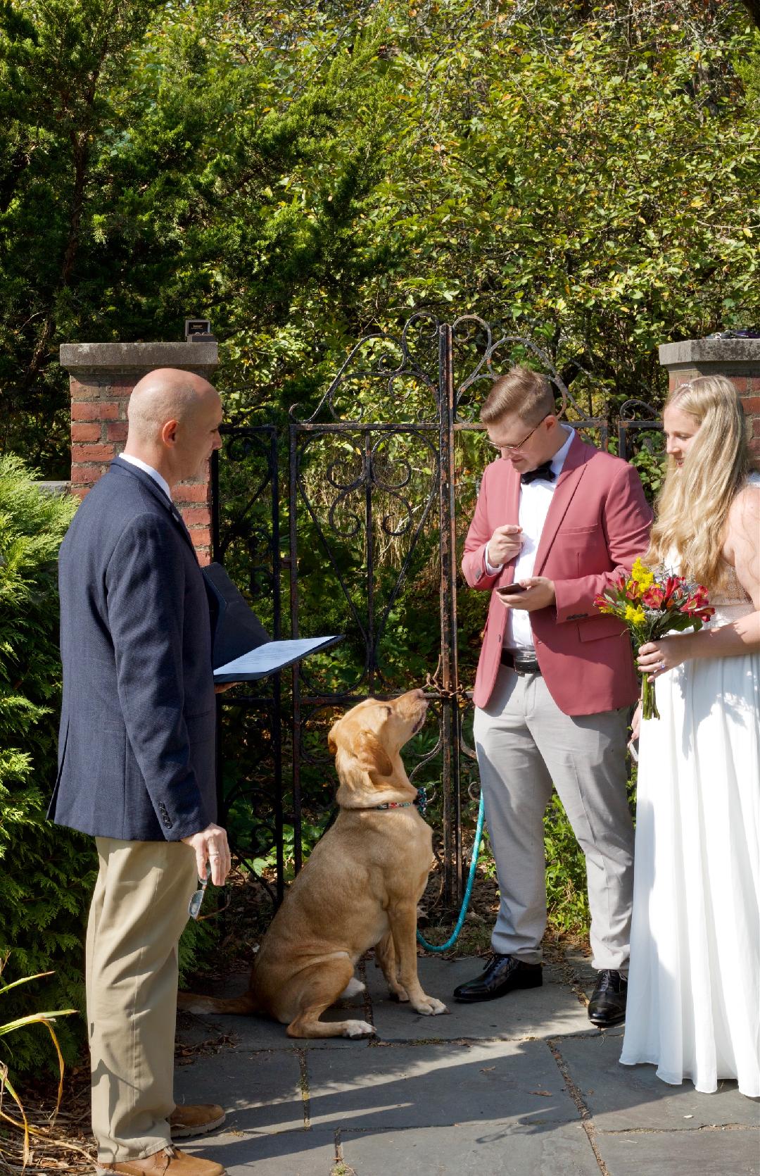 MA wedding with dog as guest